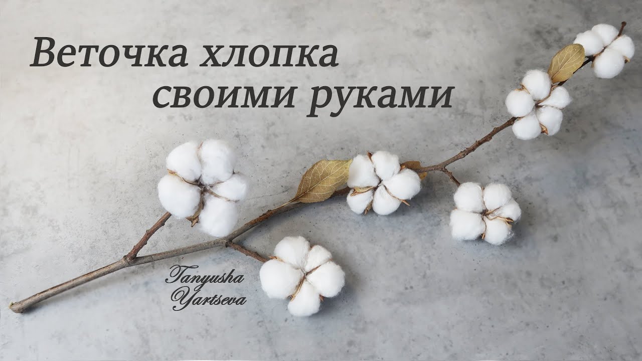 Как сделать цветы хлопка из ваты своими руками