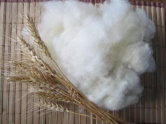 Шерсть — текстильное полотно, для производства которого используется волосяной покров различных животных
