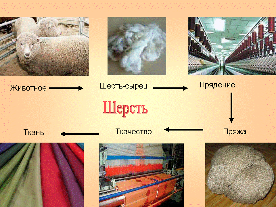 Полезные свойства бараньей шерсти, изделия из овечьего меха и как их можно сделать