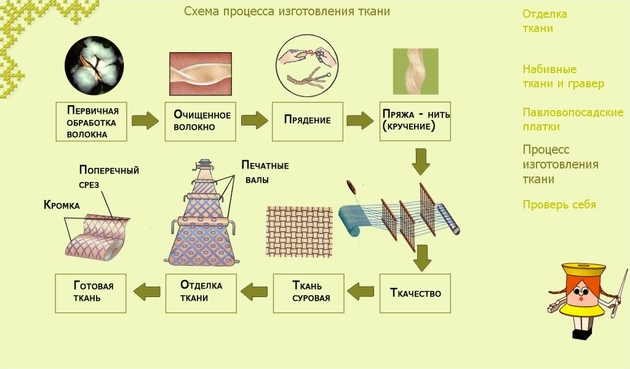 Общая схема получения культуры тканей не включает стадию