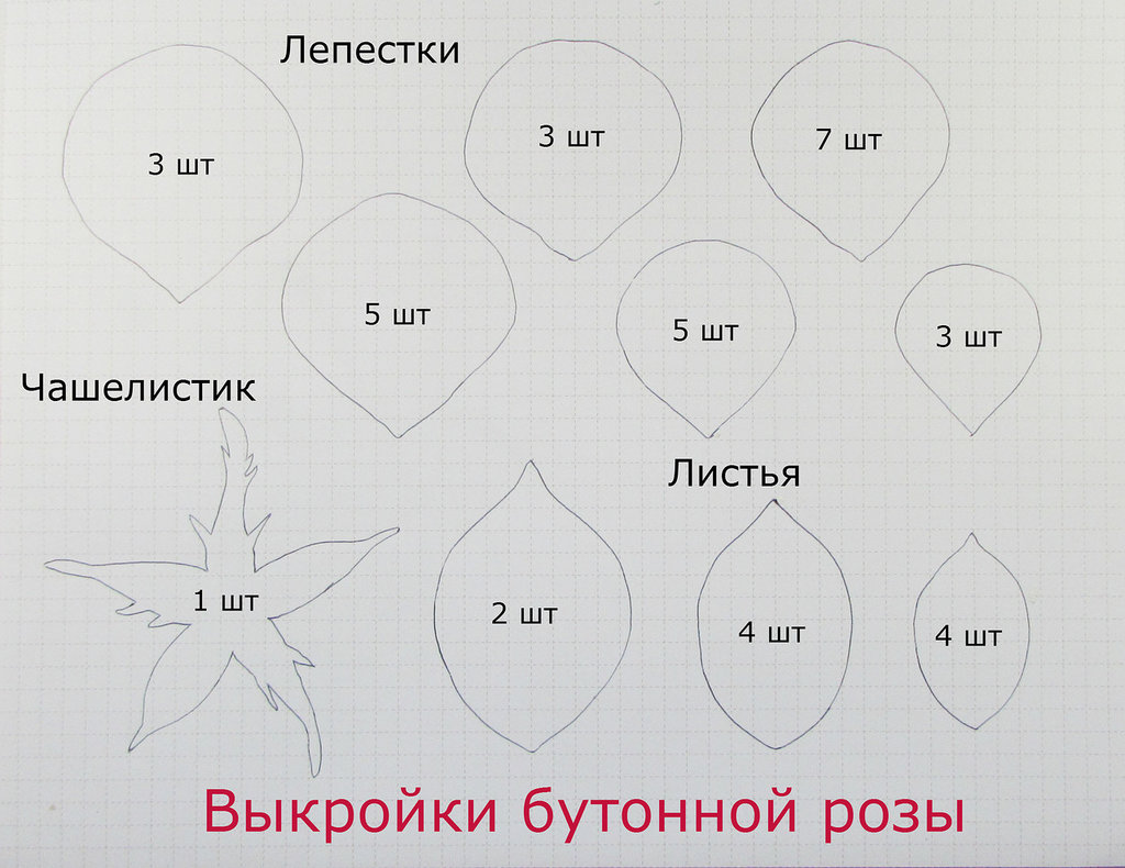 Эскиз цветов из фоамирана