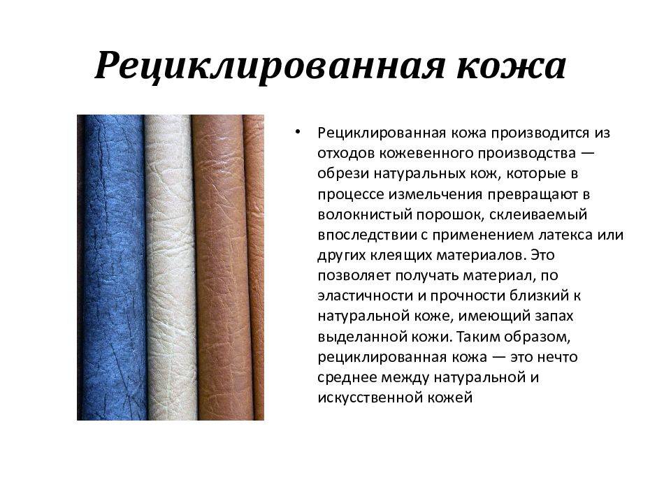 Как отличить прессованную кожу от натуральной