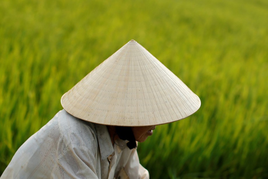 Китайская соломенная шляпа: название и особенности