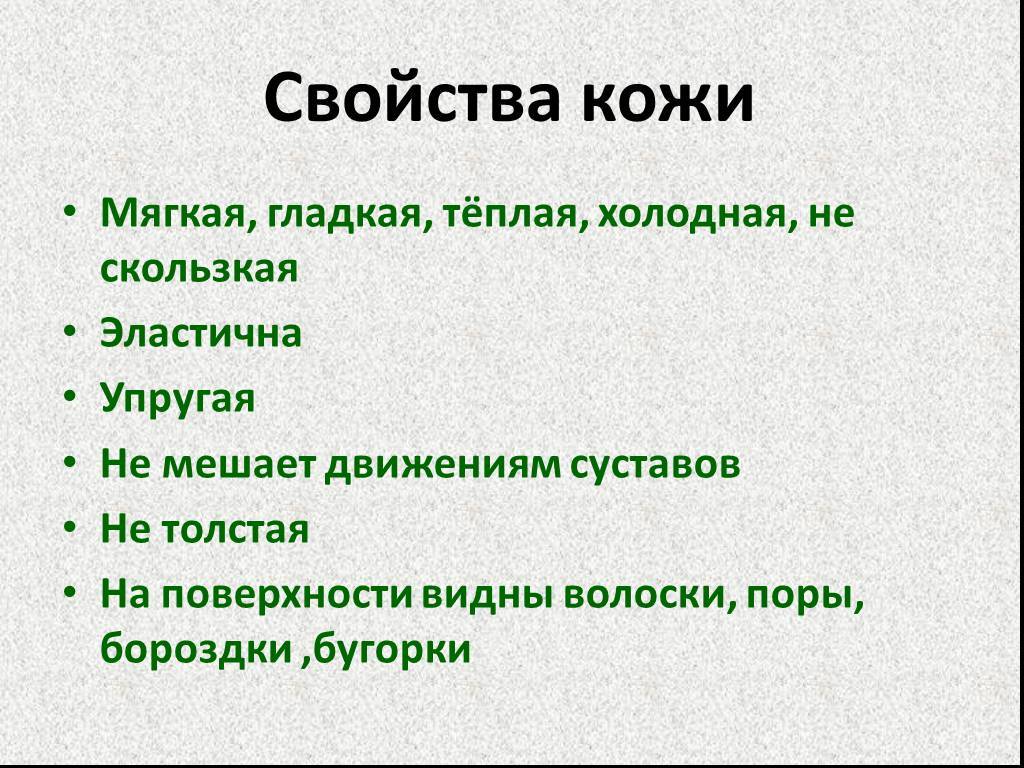 Жирная кожа лица: правильный ежедневный уход