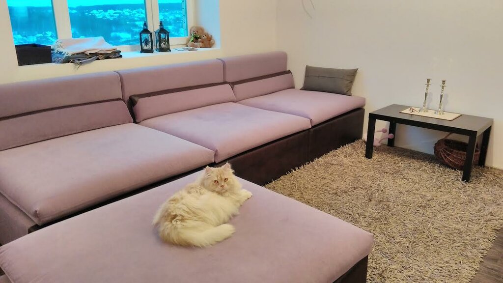 Какую ткань выбрать на диван если дома кошки: обзор антивандальных тканей