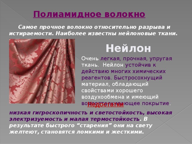 Что такое фотосинтез: что происходит в растении в процессе фотосинтеза, строение хлоропластов — что выделяется в световую и темновую фазу