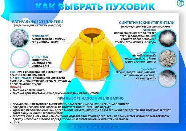 Как выбрать пуховик: советы по подбору женской и мужской куртки на зиму, виды наполнителей для зимней одежды