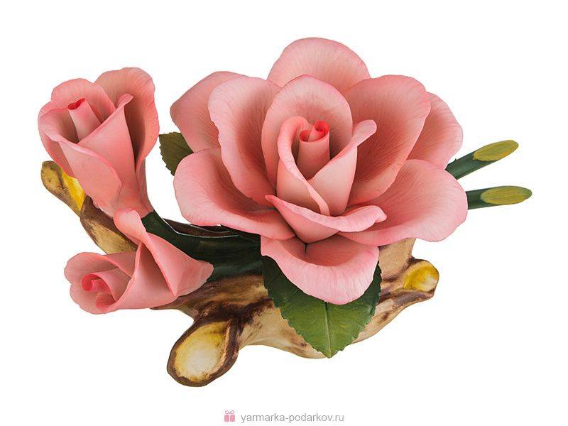 Нюансы использования плетистых роз в ландшафтном дизайне сада: правила, идеи