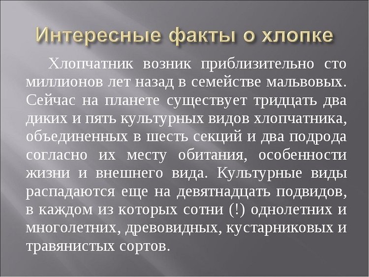 Хлопчатобумажная ткань: фото и свойства хлопка, виды хлопковых материалов